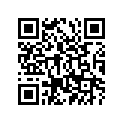 90384-28244-00 Bush, Bimetal Formed