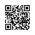90413-369-690 WASHER,SETTING