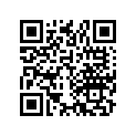 90430-752-000 SHIM(25X38X1.25)