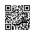 90480-21038-00 Втулка Резиновая