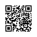 90505-758-000 WASHER(6X17X1.6)