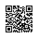90505-VG3-000 WASHER(13X27X1)