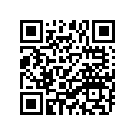 90506-16036-00