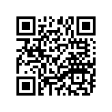 90506-20272-00 Пружина