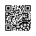 90520-04013-00 Прокладка Амортизирующая