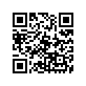 90520-06003-00 Прокладка Амортизирующая