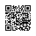90520-ZX2-C00 SHIMC,GEAR(0.30)