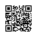 90528-ZX2-E00 SHIMA,BEVEL(0.10)