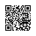 90539-011-000 Washer