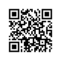 90560-17265-00