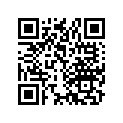 90596-752-000 SHIM(45.5X51.5X2.1)