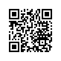 90601-329-000 Кольцо стопорное