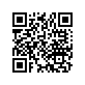90605-166-720 Кольцо стопорное 17 мм