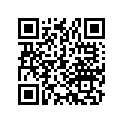 90613-969-003 Кольцо стопорное