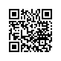 90651-MAK-003 Circlip