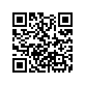 90651-ZW1-003 E-RING
