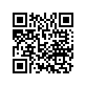 90741-MAZ-000 KEY (25X14)