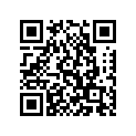 90793-25005-00 GYB YT4L-BS-GY