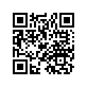 90793-25007-00 GYB GT4B-5-GY-C