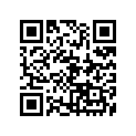 90890-56002-00 KEY BLANK (B-TYPE)
