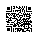 9096667 RIVET