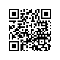 91002-KY0-981 BRG.BALL RADIAL 6