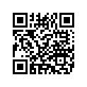 9107211 RUBBERBUMPER
