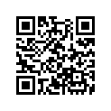 91105-HN0-671 BRG,NEEDLE 14X20X