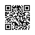 91259-300-000 O RING,
