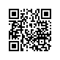 91301-GK1-003 O-RING (22X2)