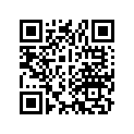 91302-001-710 O-RING(27.5X2.6)