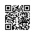 91302-300-000 O RING,58X2