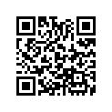 91302-567-005 O RING 27.4-2.4