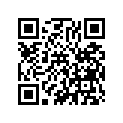 91303-397-000 Кольцо уплотнительное