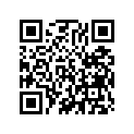 91304-035-000 Кольцо уплотнительное