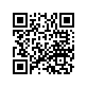 91306-KY4-901 O-RING