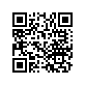 91307-PA9-003 O-RING(31.2X1.9)
