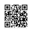 91315-KT8-003 O-ring (17x3)