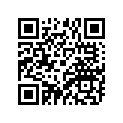 91316-10045-00 Болт