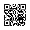 91316-300-003 O RING,