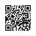 91317-05030-00 BOLT