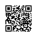 91317-171-003 Уплотнительное кольцо