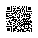 91317-381-771 O RING