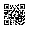 91319-300-000 Кольцо уплотнительное