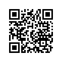 91330-417-003 O-RING,33.5X2.3
