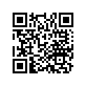 91351-HL6-A11 O-RING (0.787X0.210)