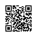 91351-ZW9-000 O-RING