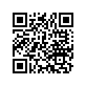 91355-463-003 O-ring (100.5x2)