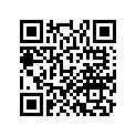 91391-MKC-A01 O-RING (55.3X2.4)