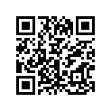 9161140645 BOLT